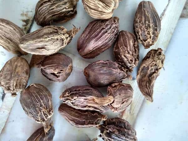 Whole black cardamom ready for a coffee grinder