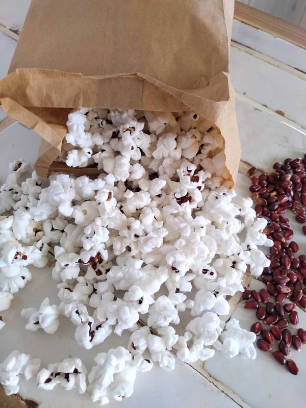 Popcorn is spilling out of a paper bag onto a white counter with some red kernels next to it.