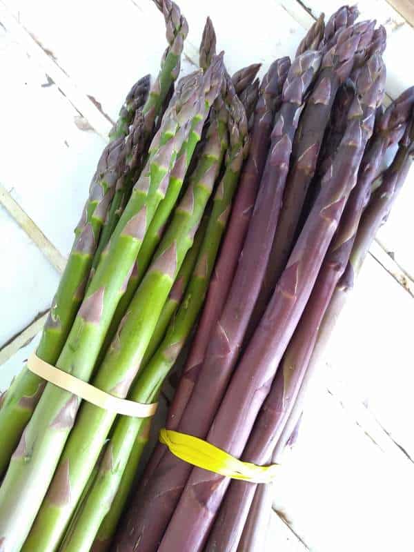Bundles of green and purple asparagus