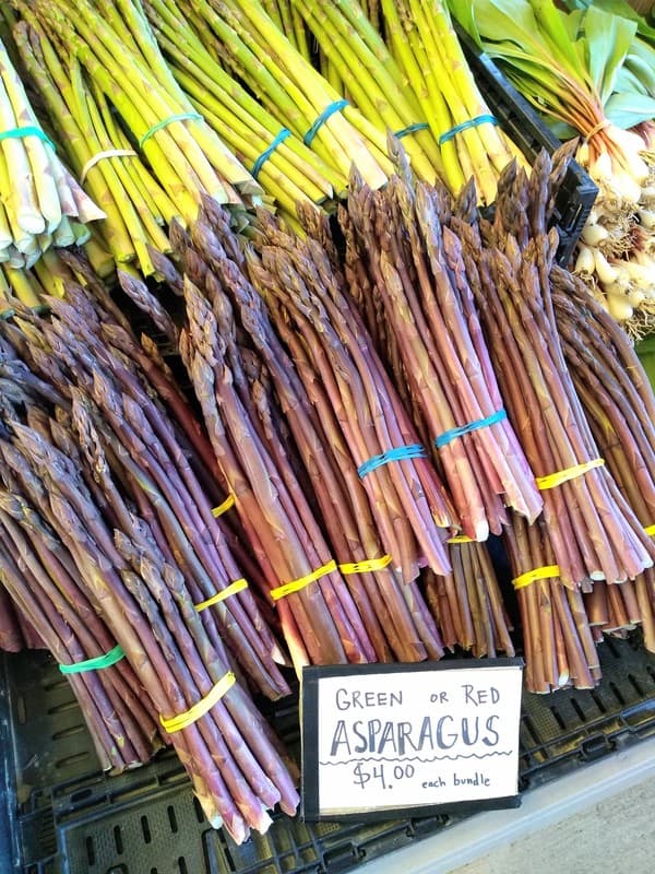 Green or purple (red) asparagus