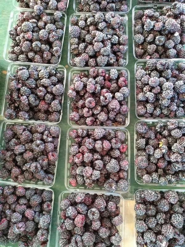 Black raspberries at the farmer's market in plastic containers sitting on a green and brown wood table.