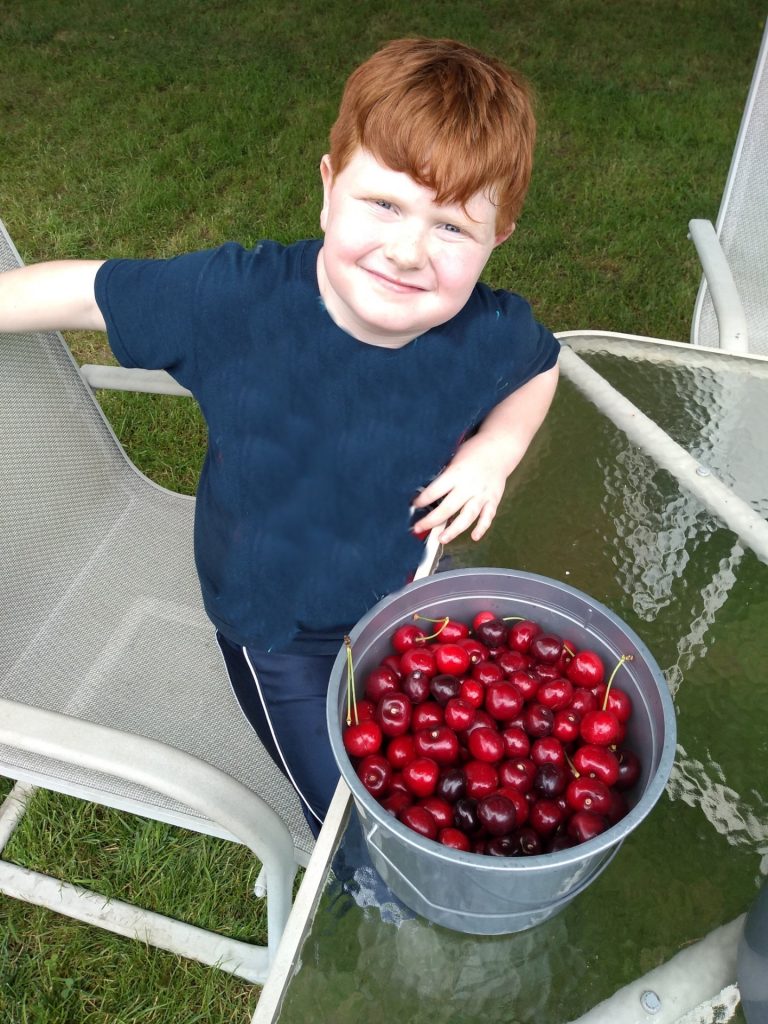 My red headed son standing at a glass table with a gray bucket of u-pick cherries.