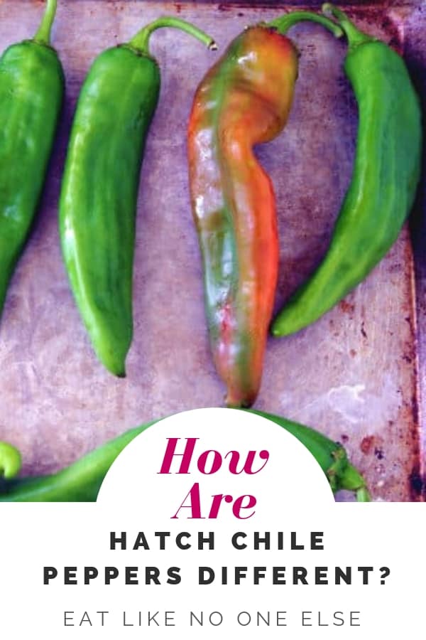 How are Hatch Chile Peppers Different?