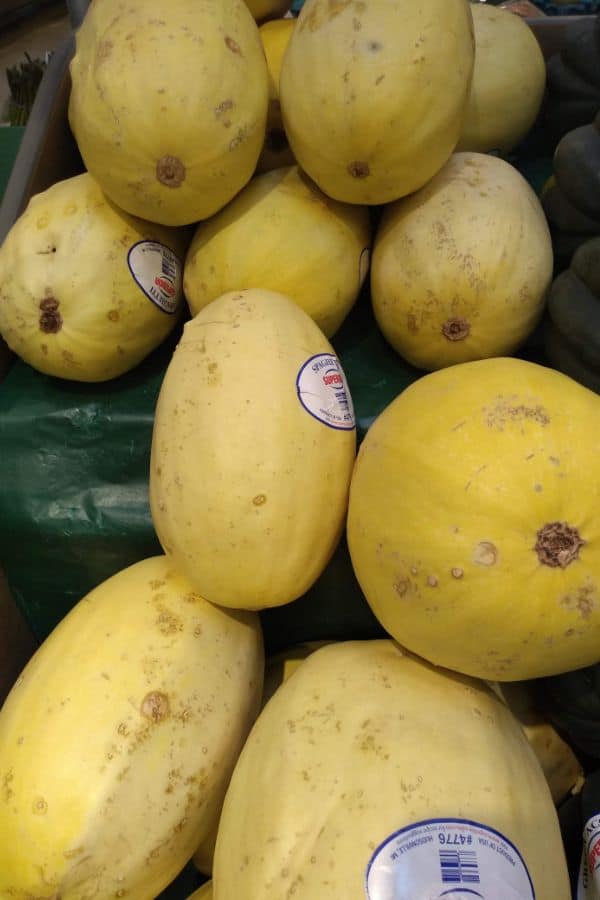 Spaghetti Squash display at the grocery store