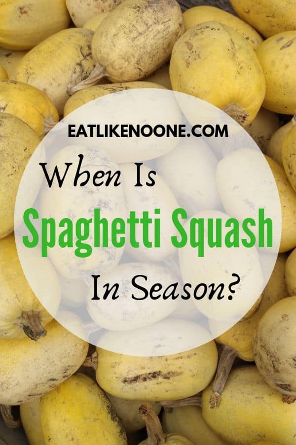 When is Spaghetti Squash in Season? text overtop of yellow spaghetti squash.