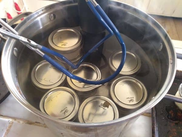 Mason jars in a sous vide bath inside a large pot.