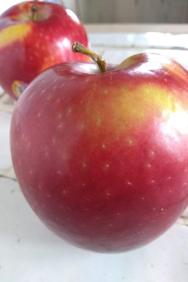 Cosmic Crisp apples up close