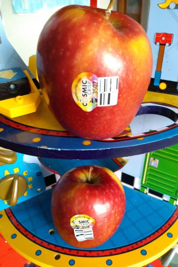 Cosmic Crisp apples on a space ship toy