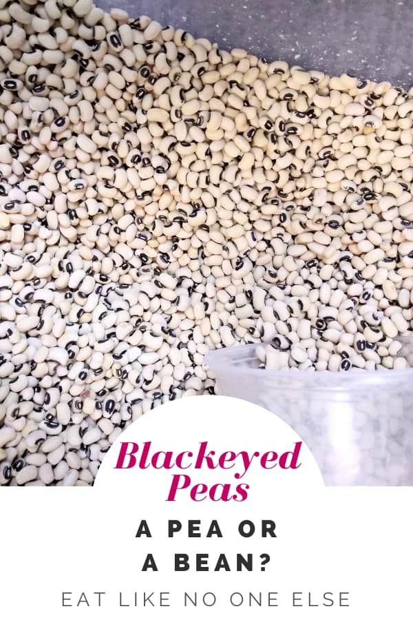 Black eyed peas in a bin with a plastic container to scoop them. The words "Blackeyed Peas - a Pea or a Bean" appear at the bottom of the image.