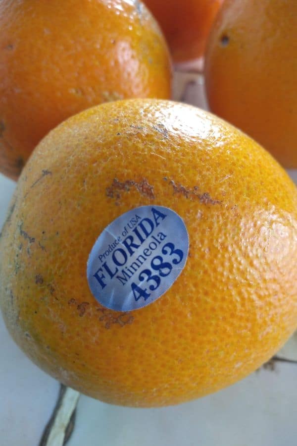 Florida Minneola or Honeybell on a white title countertop