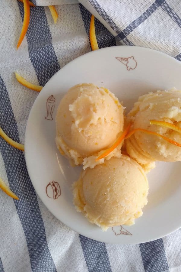 Sherbet in online ice cream maker