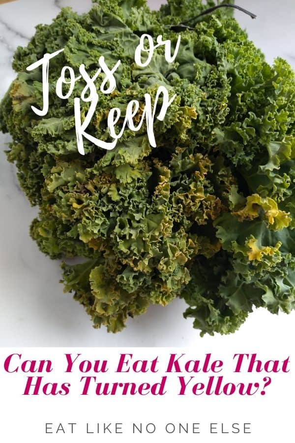 Can You Eat Kale That Has Turned Yellow? - Eat Like No One Else