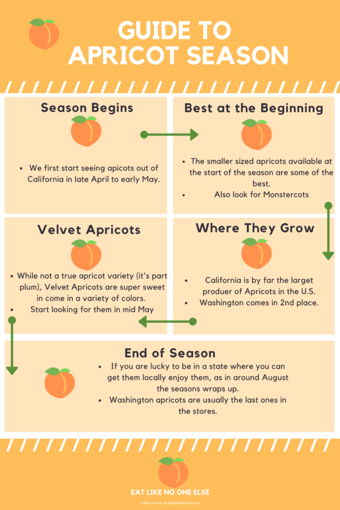 When Does Apricot Season Begin And End Eat Like No One Else