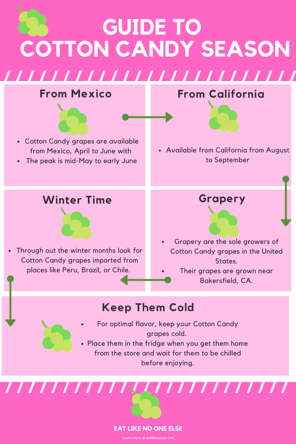 An infographic on cotton candy grapes sharing the information from this blog post.