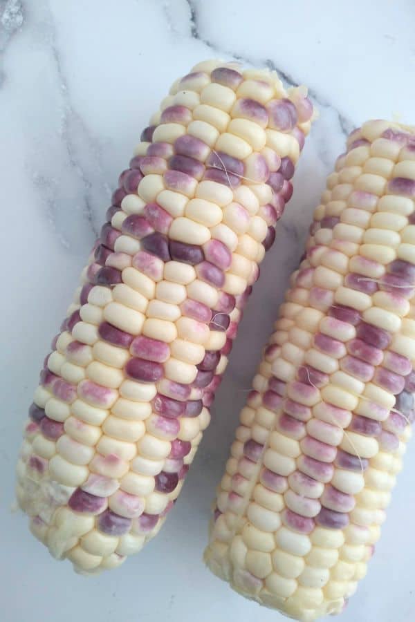 Wild violet white and purple sweet corn on the cob.