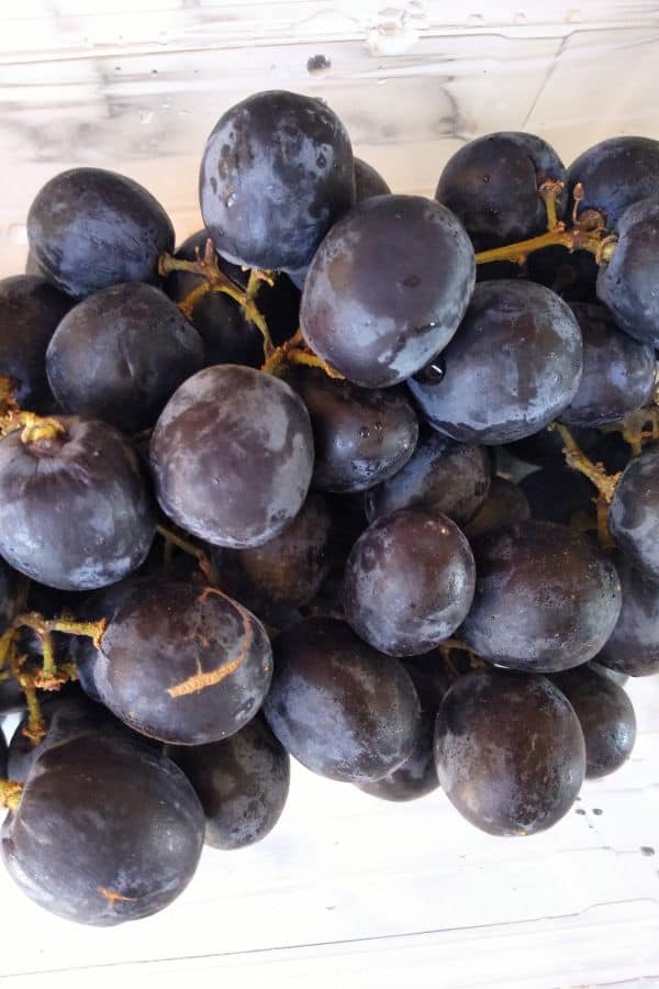 Up close pictures of Sable Seedless grapes