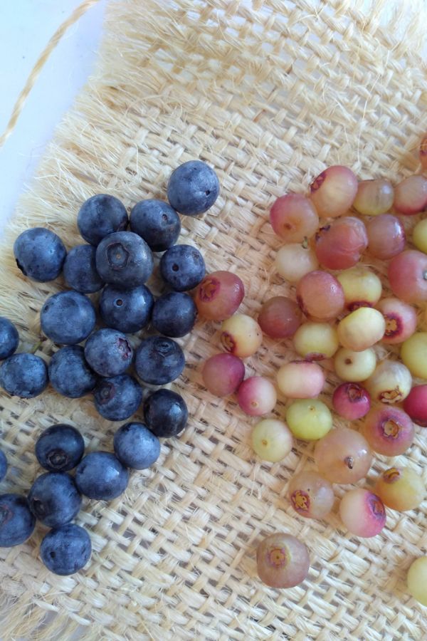 Pink Lemonade Blueberries and regular blueberries side by side