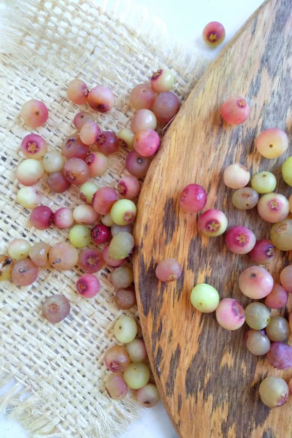 Pink Lemonade Blueberries sitting on a cutting board with burlap underneath