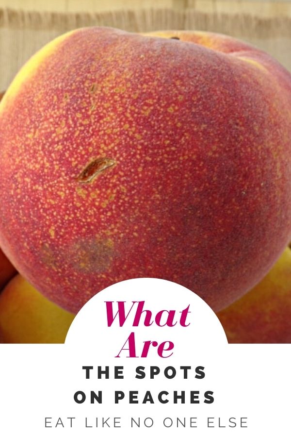 A close up of a peach with tons of small sugar spots near the bottom of the red blushed fruit. At the bottom the words "What are the spots on peaches?"