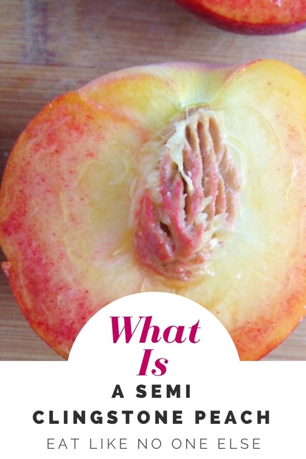 Close up of a peach with a pit stuck in the middle and the words "What i a Semi Cling stone peach" underneath.