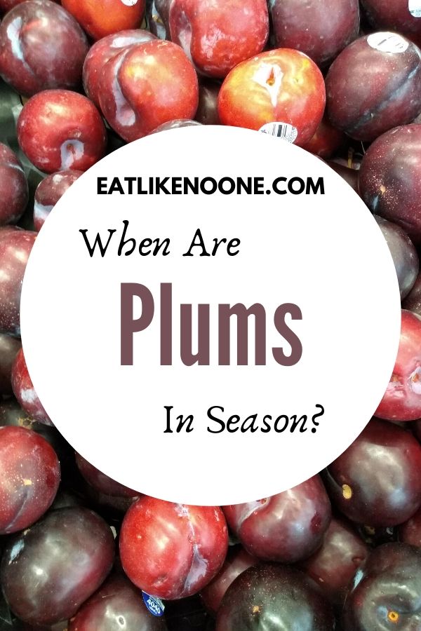 The words "When are Plums in Season? are pictured in a white circle over top a plile of black plums