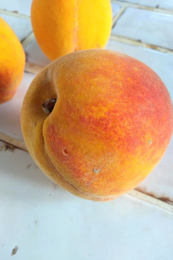 Georgia grown Elberta peaches on white tile countertop.