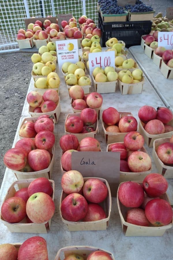 A farmers market table with Gala apples on it in baskets.