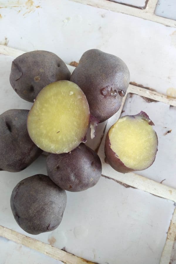 Cooked purple potatoes that are cut open to show the are yellowish white on the inside.