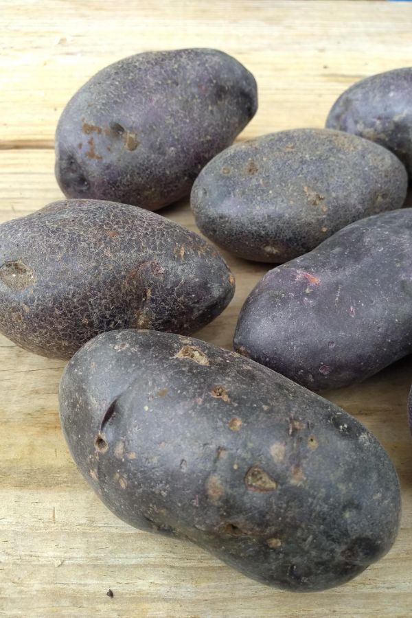 Purple potatoes on a wood board.