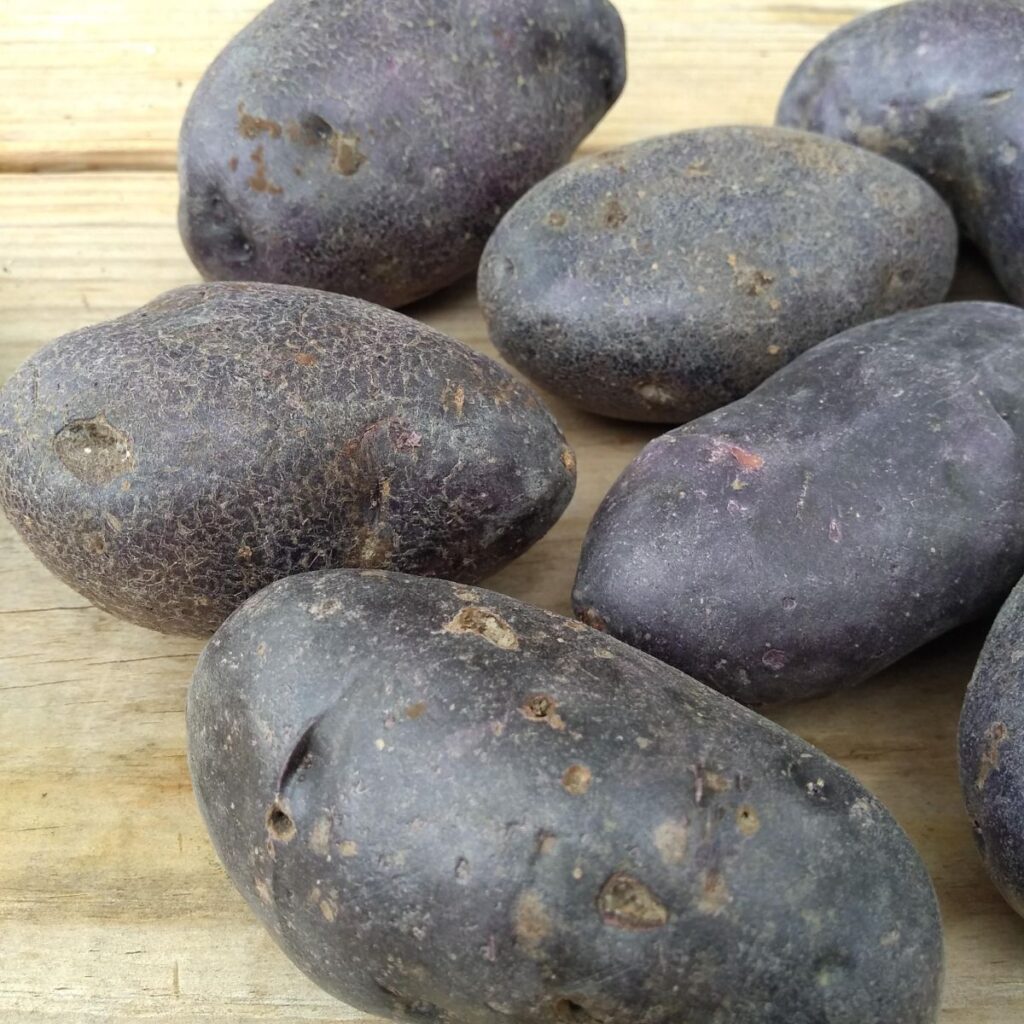 Raw purple potatoes on a wood board.