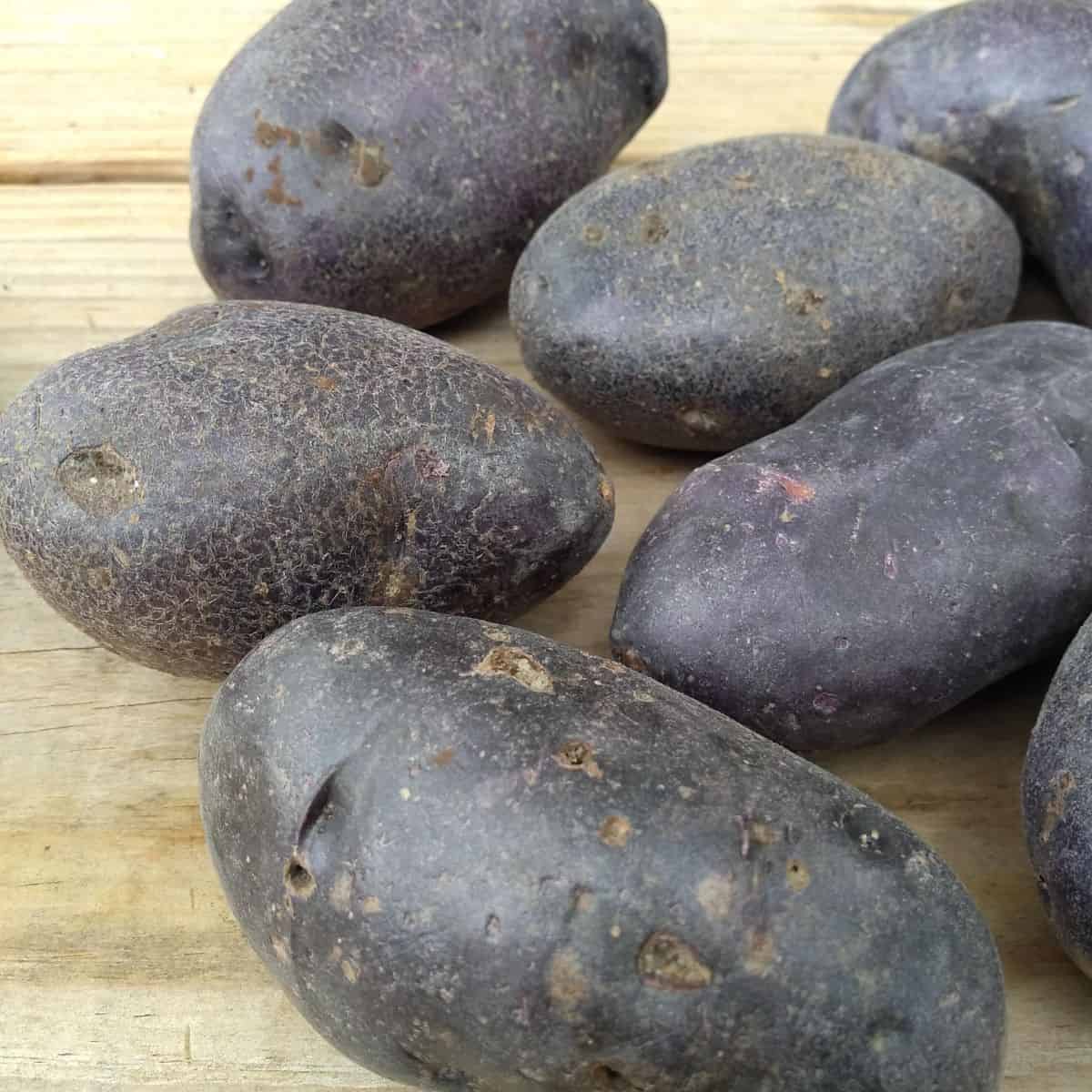 Large purple potatoes on a wood board.