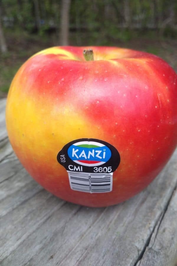 A single Kanzi apple sitting on a wood picnic table outside. The PLU sticker is in front, reading Kanzi CMI 3605 USA.