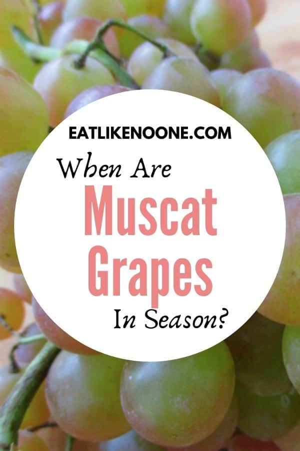 When are Muscat Grapes in Season? Eat Like No One Else