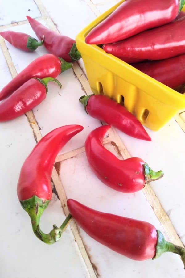 A white tiled counter top with Fresno chiles on it, along with a yellow basket of red chiles.