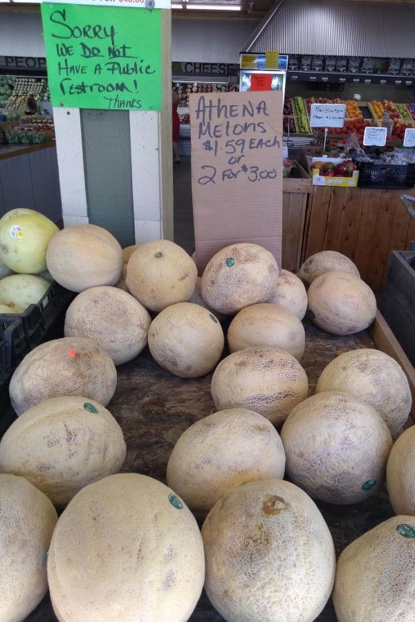 Athena melons selling for $1.59 each or 2 for $3.00 at a farm market.