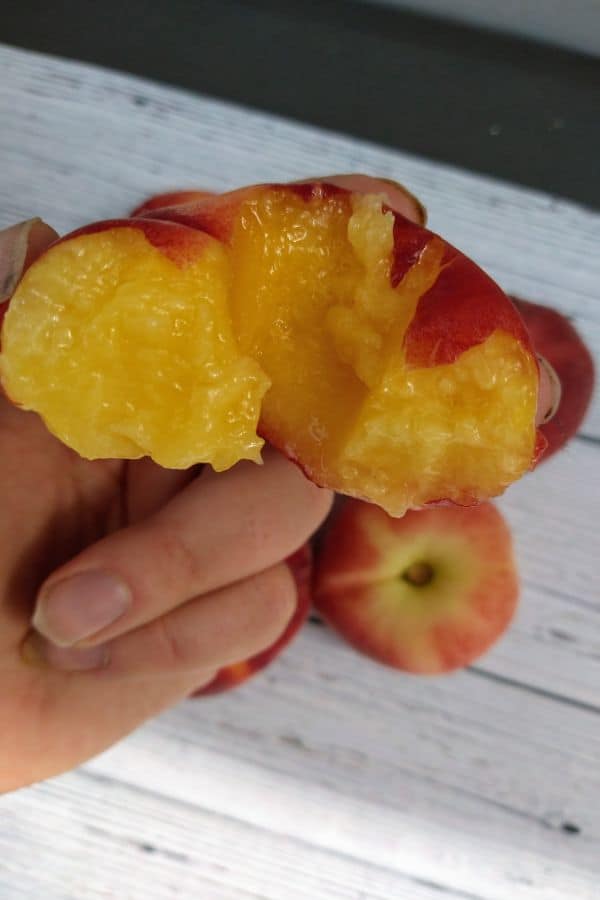 A cut open donut peach showing a little yellowish interior being held in someone's hand over top of whole donut peaches.