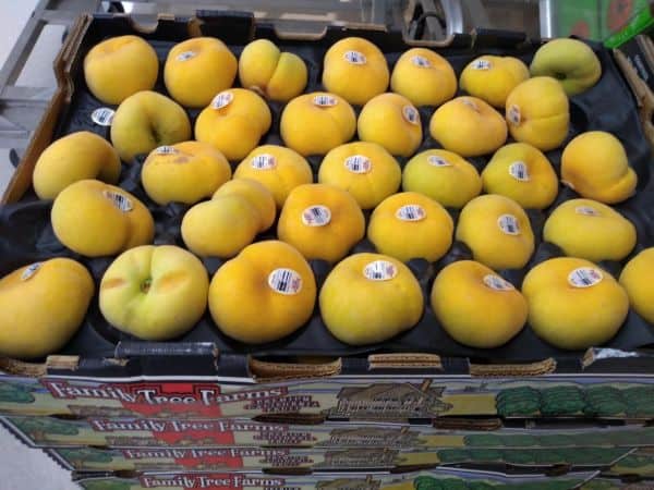 A display of yellow Peach Pie donut peaches in a single layer with boxes underneath that say Family Tree Farms.