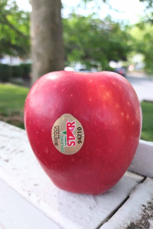 A single red Premier Star apple sitting on a white fence post with the background blurred.