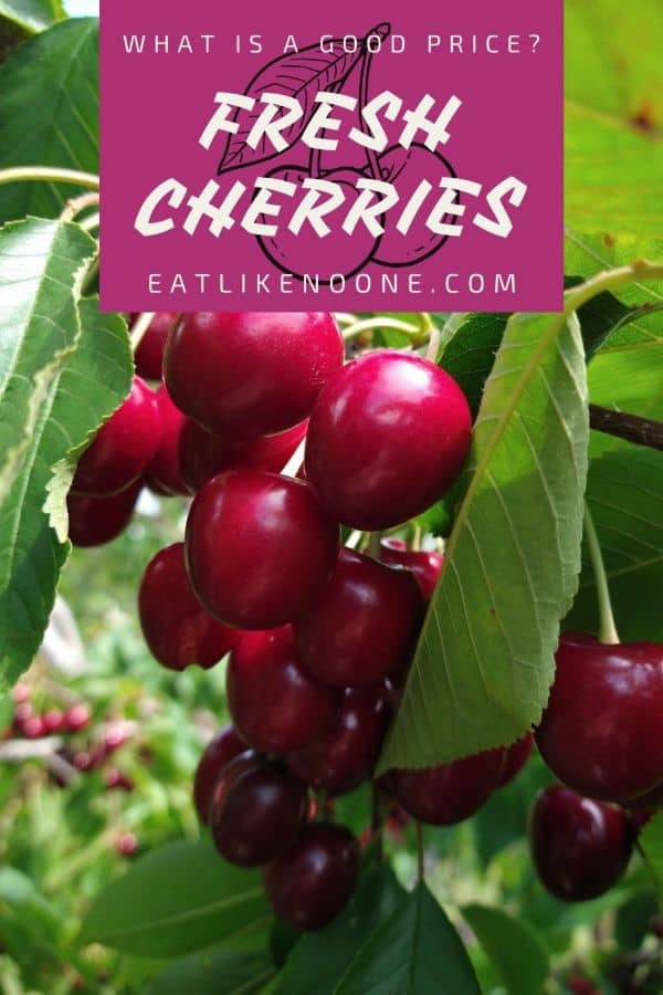 A bunch of red shiny cherries are hanging in a tree with the sun shinning on them. A maroon box at the top says "What is a Good Price? Fresh Cherries"