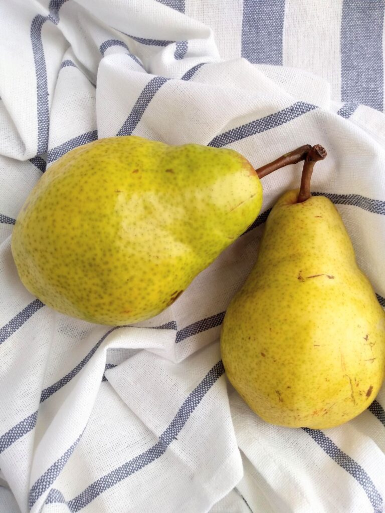 Two Bartlett pears on a blue striped towel. The pear on the right is nearly completely yellow while the pear on the left still has some green in it's skin.
