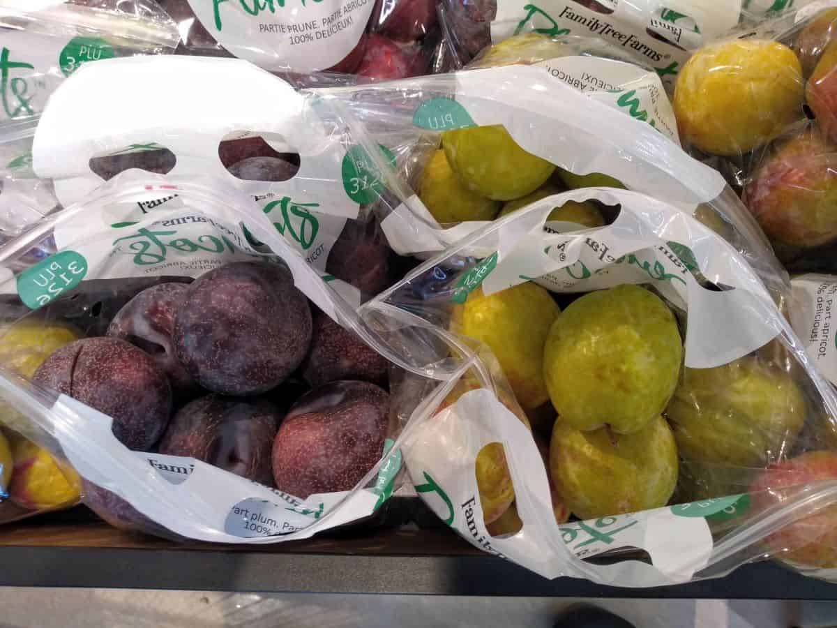 A grocery store display of bagged pluots shown overhead with the bags open. The fruit on the left is purple/black and the fruit on the right is green.