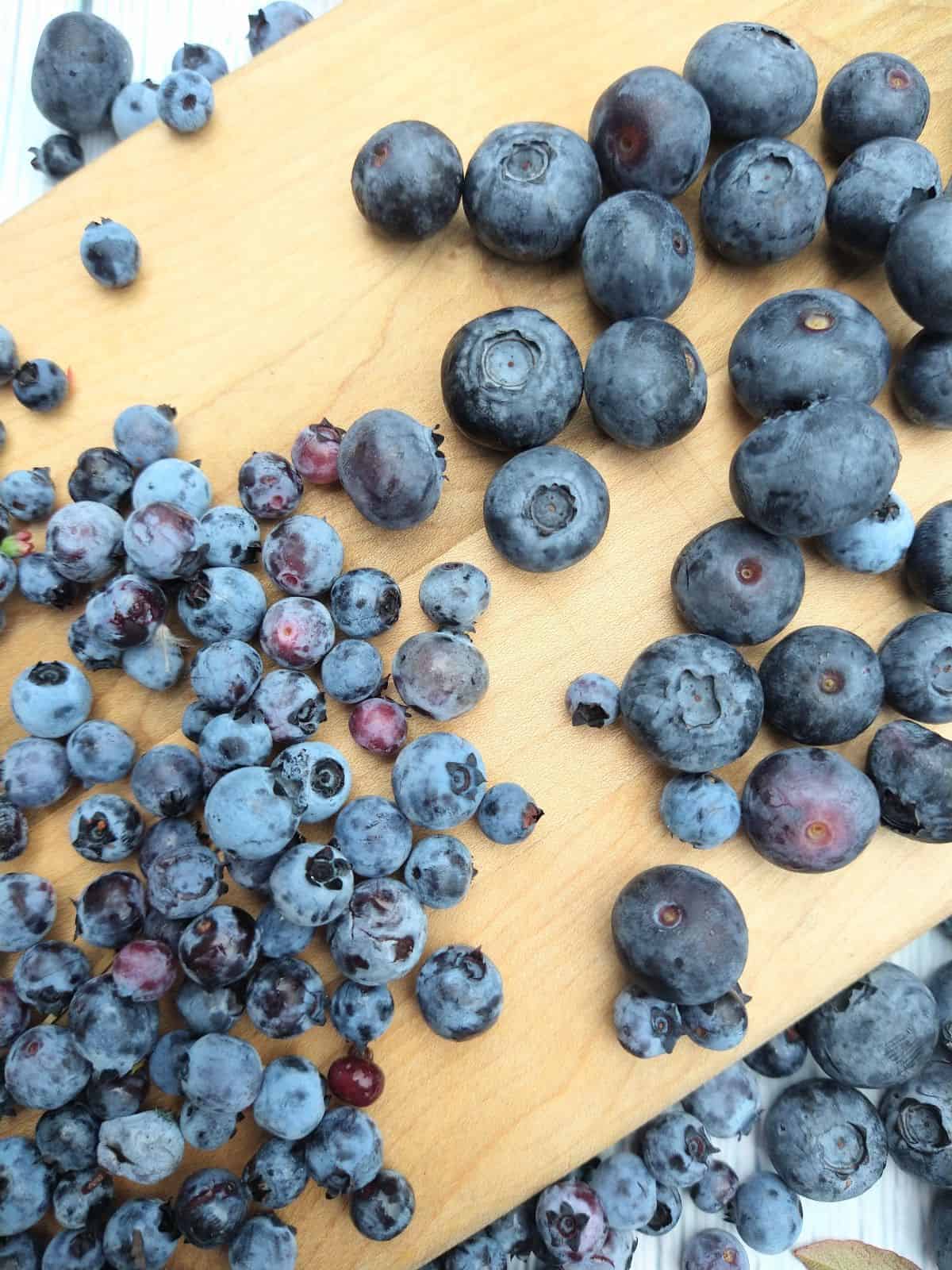 A wood cutting board with regular blueberries next to wild blueberries. You can clearly see how much smaller the wild blueberries are.