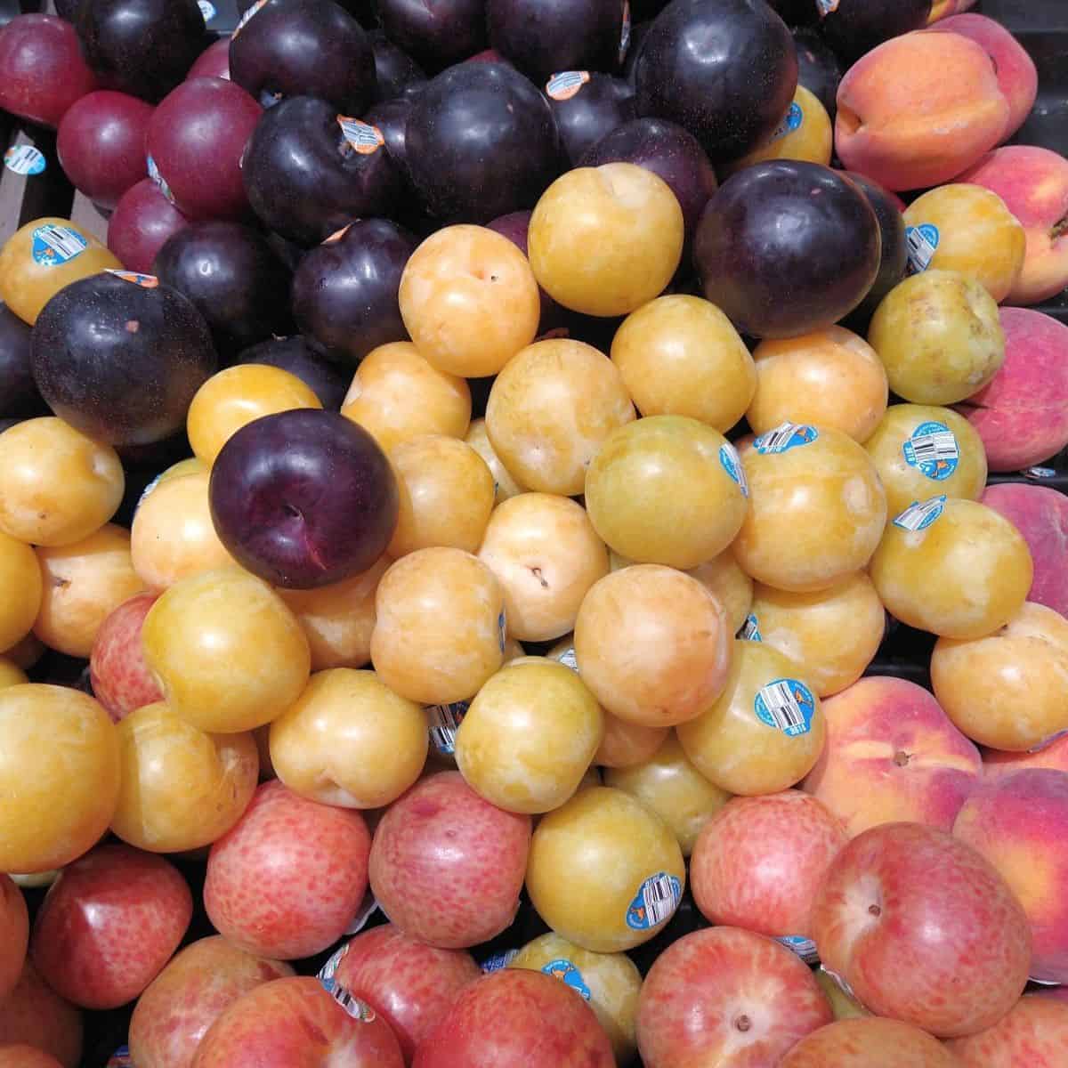 A grocery store display of different colored pluots ranging from black at the top to yellow in the middle to mottled pink on the bottom. 