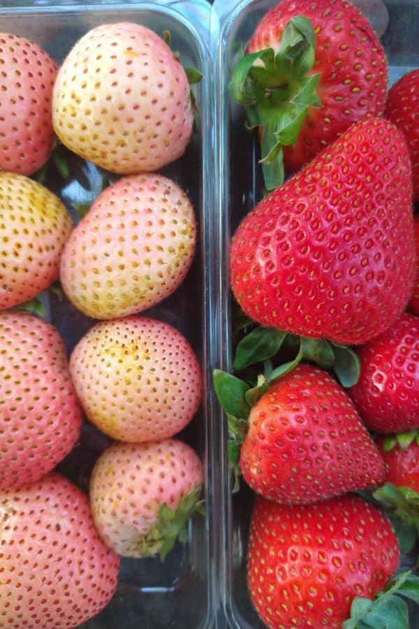 A container of pink Rose strawberries next to one of red strawberries