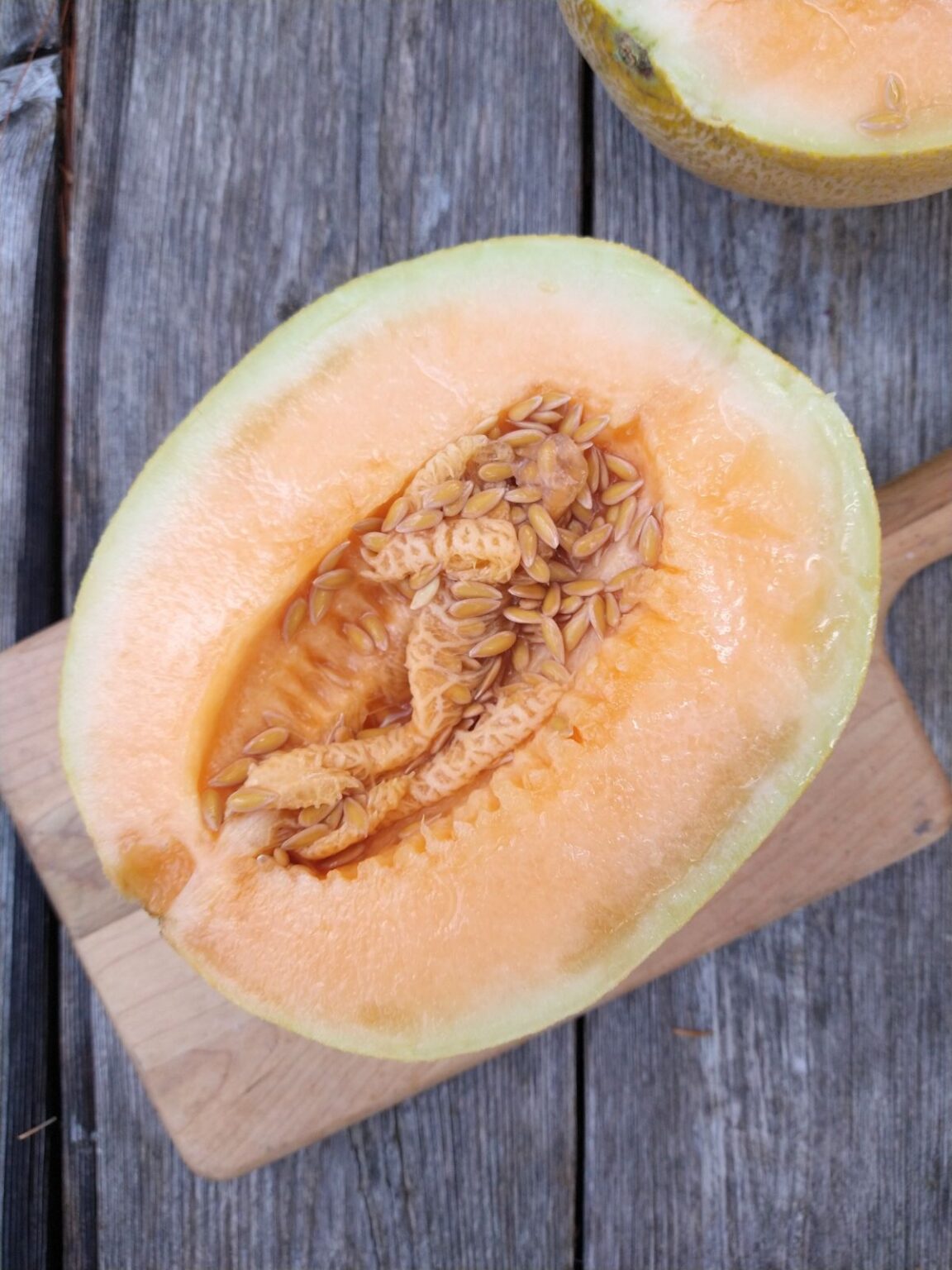 Sugar Kiss Melons - Eat Like No One Else