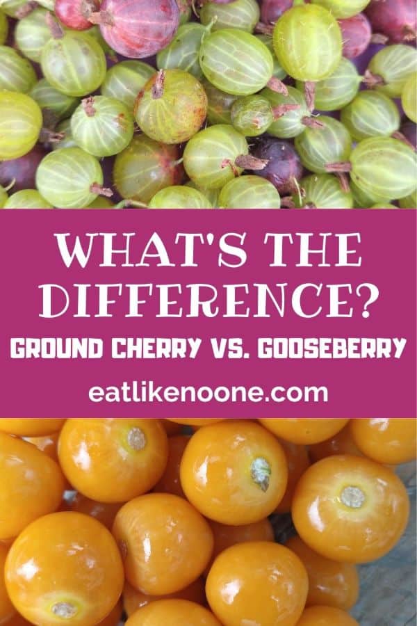 A collage with green and red gooseberries on top and ground cherries on the bottom with the words "What's the Difference Ground Cherry vs. Gooseberry" in the middle.