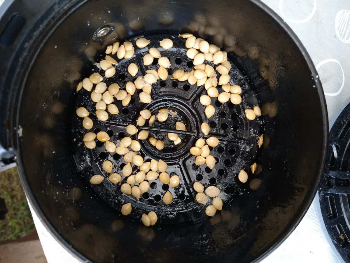 A black air fryer drawer is shown with delicata squash seeds inside ready to be roasted.