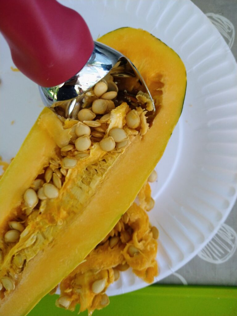 A red ice cream scoop is shown removing the seeds from a delicata squash on a paper plate.