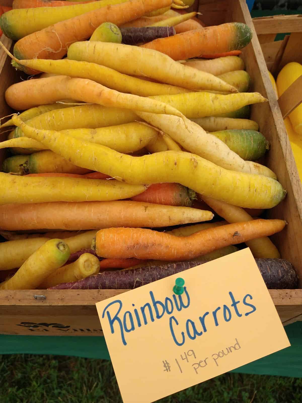 A wood box of carrots of different shades of yellow and orange as well purple at a farmer's market. A sign attached to the box says "Rainbow carrots $1.49 per pound"