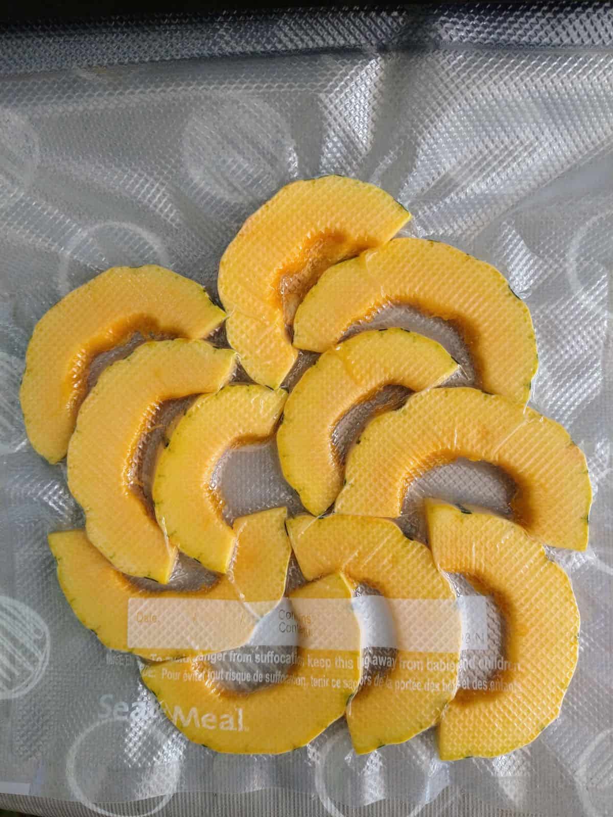 Delicata squash half moon pieces sealed inside of a vacuum sealed bag. 